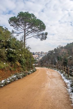 İstanbul, Türkiye-28 Ocak 2022 İstanbul Ormanları. Kış mevsiminde Atatürk şehir ormanlarından gelen doğal güzelliklerle dolu kar manzarası