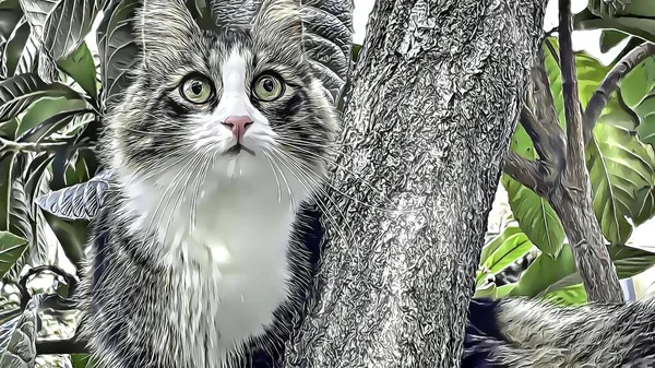 Porträt Der Katze Auf Dem Ast Des Baumes — Stockfoto