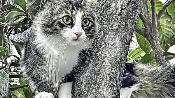 Porträt Der Katze Auf Dem Ast Des Baumes — Stockfoto