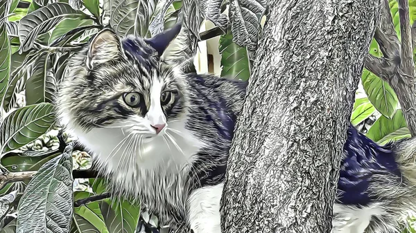 Porträt Der Katze Auf Dem Ast Des Baumes — Stockfoto