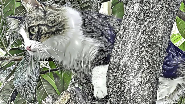 Portrait Cat Branch Tree — Stock Photo, Image