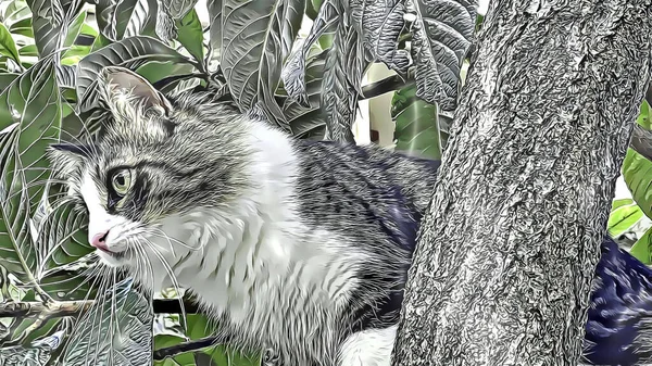 가지에 고양이 — 스톡 사진