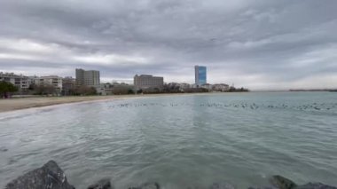 evilkoy, istanbul, Türkiye-12022 Sahil manzaralı modern binalar ve İstanbul 'un Marmara Denizi kıyısındaki bir banliyösü olan Yeşilköy' ün güzel doğası. 