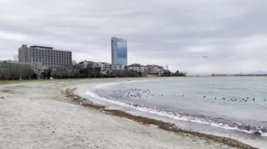 evilkoy, istanbul, Türkiye-12022 Sahil manzaralı modern binalar ve İstanbul 'un Marmara Denizi kıyısındaki bir banliyösü olan Yeşilköy' ün güzel doğası. 
