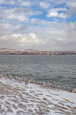 İstanbul, Türkiye-25 Ocak 2022 İstanbul, Avrupa ve Asya kıtaları arasındaki rüya şehridir. Kış mevsiminde tarihi yarımadadan modern, tarihi ve doğal güzelliklere sahip şehir manzarası