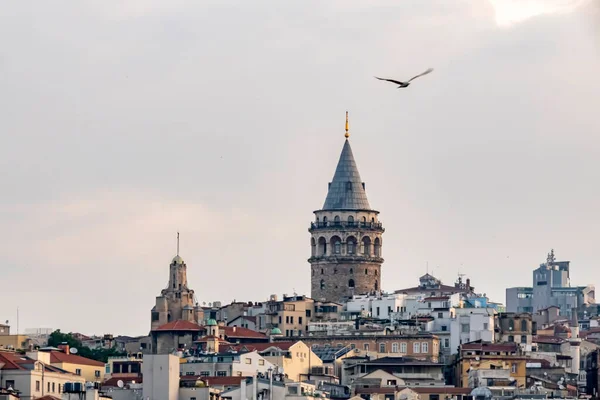 Símbolo Histórico Turístico Estambul Torre Galata — Vector de stock