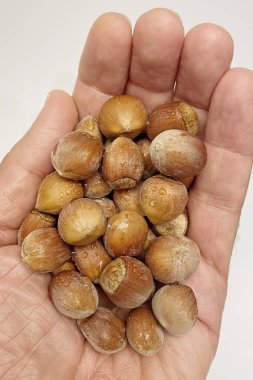 Elinde kabuklu fındıkları kapat.