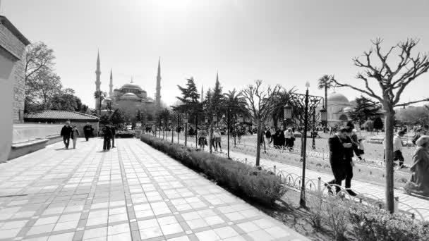 4月15 2022 イスタンブール ヨーロッパとアジアの大陸の間の夢の都市 その歴史的および現代的な外観と マルマラ海沿岸の旧市街と旅行者のためのボスポラス島の景色 — ストック動画