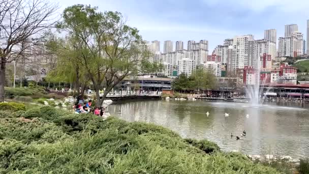 Istanbul Turquia Abril 2022 Vistas Cidade Parque Onde Lago Fontes — Vídeo de Stock