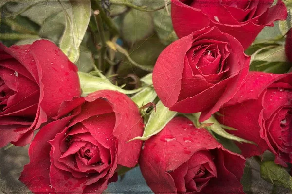 Komst Van Lente Lente Bloemen Die Schoonheid Kleur Geven Aan — Stockfoto