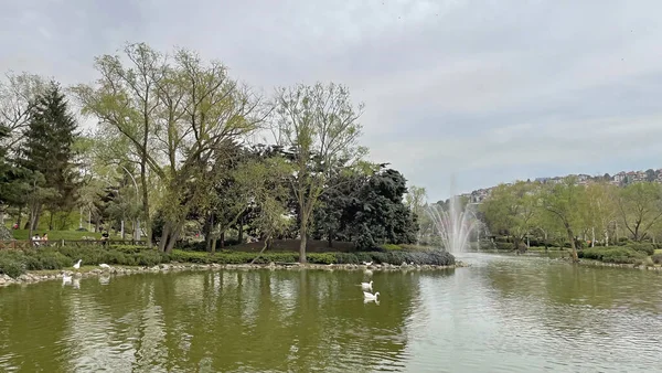 Istanbul Τουρκία Απριλίου 2022 Θέα Στην Πόλη Από Πάρκο Όπου — Φωτογραφία Αρχείου