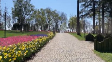 Emirgan, istanbul, Türkiye 20.2022 İstanbul Lale Festivali. İstanbul 'da lale sezonu temalı park ve bahçelerde festival düzenlendi. İstanbul 'daki Emirgan koruluğundan ve Nisan ayındaki lale festivali manzarası