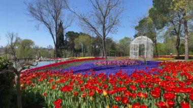 Emirgan, istanbul, Türkiye 20.2022 İstanbul Lale Festivali. İstanbul 'da lale sezonu temalı park ve bahçelerde festival düzenlendi. İstanbul 'daki Emirgan koruluğundan ve Nisan ayındaki lale festivali manzarası