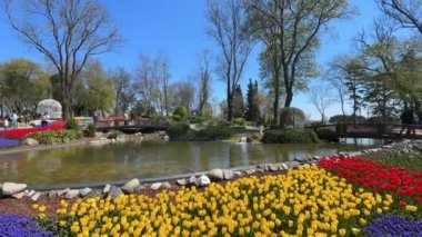 Emirgan, istanbul, Türkiye 20.2022 İstanbul Lale Festivali. İstanbul 'da lale sezonu temalı park ve bahçelerde festival düzenlendi. İstanbul 'daki Emirgan koruluğundan ve Nisan ayındaki lale festivali manzarası