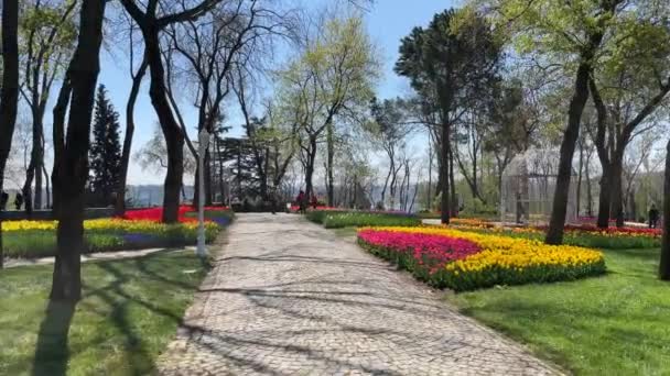 Emirgan Istanbul Turquia 2022 Festival Tulipa Istambul Festival Realizado Parques — Vídeo de Stock