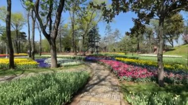 Emirgan, istanbul, Türkiye 20.2022 İstanbul Lale Festivali. İstanbul 'da lale sezonu temalı park ve bahçelerde festival düzenlendi. İstanbul 'daki Emirgan koruluğundan ve Nisan ayındaki lale festivali manzarası