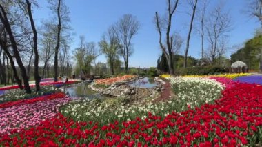 Emirgan, istanbul, Türkiye 20.2022 İstanbul Lale Festivali. İstanbul 'da lale sezonu temalı park ve bahçelerde festival düzenlendi. İstanbul 'daki Emirgan koruluğundan ve Nisan ayındaki lale festivali manzarası
