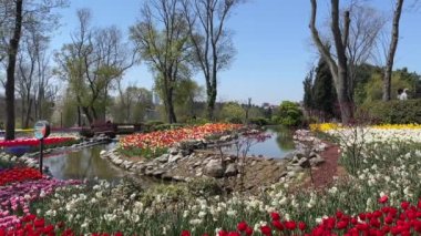 Emirgan, istanbul, Türkiye 20.2022 İstanbul Lale Festivali. İstanbul 'da lale sezonu temalı park ve bahçelerde festival düzenlendi. İstanbul 'daki Emirgan koruluğundan ve Nisan ayındaki lale festivali manzarası