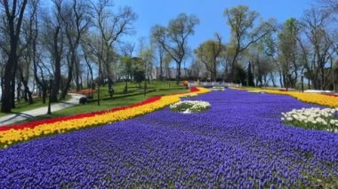 Emirgan, istanbul, Türkiye 20.2022 İstanbul Lale Festivali. İstanbul 'da lale sezonu temalı park ve bahçelerde festival düzenlendi. İstanbul 'daki Emirgan koruluğundan ve Nisan ayındaki lale festivali manzarası