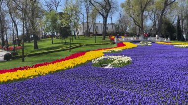 Emirgan, istanbul, Türkiye 20.2022 İstanbul Lale Festivali. İstanbul 'da lale sezonu temalı park ve bahçelerde festival düzenlendi. İstanbul 'daki Emirgan koruluğundan ve Nisan ayındaki lale festivali manzarası