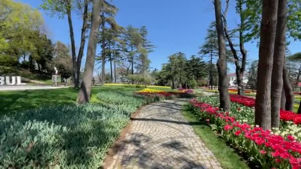 Emirgan Isztambuli Török 2022 Április Isztambul Tulipán Fesztivál Fesztivál Tartott — Stock videók
