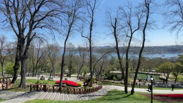 Emirgan Istanbul Turquia 2022 Festival Tulipa Istambul Festival Realizado Parques — Vídeo de Stock