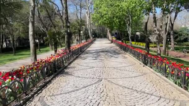 Emirgan Istanbul Turquia 2022 Festival Tulipa Istambul Festival Realizado Parques — Vídeo de Stock