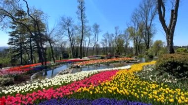 Emirgan, istanbul, Türkiye 20.2022 İstanbul Lale Festivali. İstanbul 'da lale sezonu temalı park ve bahçelerde festival düzenlendi. İstanbul 'daki Emirgan koruluğundan ve Nisan ayındaki lale festivali manzarası