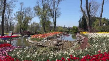 Emirgan, istanbul, Türkiye 20.2022 İstanbul Lale Festivali. İstanbul 'da lale sezonu temalı park ve bahçelerde festival düzenlendi. İstanbul 'daki Emirgan koruluğundan ve Nisan ayındaki lale festivali manzarası