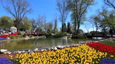 Emirgan, istanbul, Türkiye 20.2022 İstanbul Lale Festivali. İstanbul 'da lale sezonu temalı park ve bahçelerde festival düzenlendi. İstanbul 'daki Emirgan koruluğundan ve Nisan ayındaki lale festivali manzarası