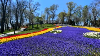 Emirgan, istanbul, Türkiye 20.2022 İstanbul Lale Festivali. İstanbul 'da lale sezonu temalı park ve bahçelerde festival düzenlendi. İstanbul 'daki Emirgan koruluğundan ve Nisan ayındaki lale festivali manzarası