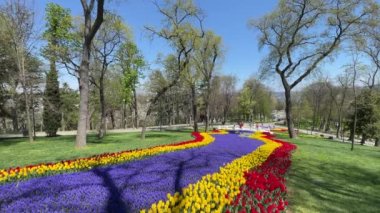 Emirgan, istanbul, Türkiye 20.2022 İstanbul Lale Festivali. İstanbul 'da lale sezonu temalı park ve bahçelerde festival düzenlendi. İstanbul 'daki Emirgan koruluğundan ve Nisan ayındaki lale festivali manzarası