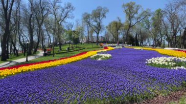 Emirgan, istanbul, Türkiye 20.2022 İstanbul Lale Festivali. İstanbul 'da lale sezonu temalı park ve bahçelerde festival düzenlendi. İstanbul 'daki Emirgan koruluğundan ve Nisan ayındaki lale festivali manzarası