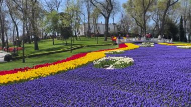 Emirgan, istanbul, Türkiye 20.2022 İstanbul Lale Festivali. İstanbul 'da lale sezonu temalı park ve bahçelerde festival düzenlendi. İstanbul 'daki Emirgan koruluğundan ve Nisan ayındaki lale festivali manzarası