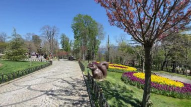 Emirgan, istanbul, Türkiye 20.2022 İstanbul Lale Festivali. İstanbul 'da lale sezonu temalı park ve bahçelerde festival düzenlendi. İstanbul 'daki Emirgan koruluğundan ve Nisan ayındaki lale festivali manzarası