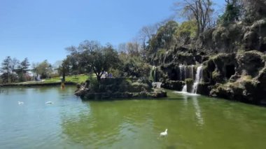 Emirgan, istanbul, Türkiye 20.2022 İstanbul Lale Festivali. İstanbul 'da lale sezonu temalı park ve bahçelerde festival düzenlendi. İstanbul 'daki Emirgan koruluğundan ve Nisan ayındaki lale festivali manzarası