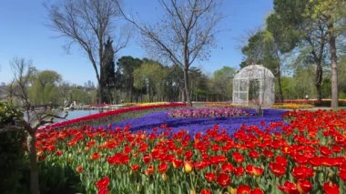 Emirgan, istanbul, Türkiye 20.2022 İstanbul Lale Festivali. İstanbul 'da lale sezonu temalı park ve bahçelerde festival düzenlendi. İstanbul 'daki Emirgan koruluğundan ve Nisan ayındaki lale festivali manzarası