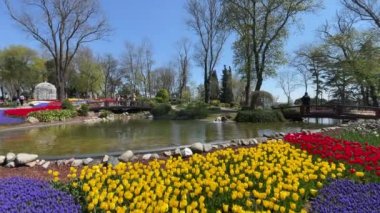 Emirgan, istanbul, Türkiye 20.2022 İstanbul Lale Festivali. İstanbul 'da lale sezonu temalı park ve bahçelerde festival düzenlendi. İstanbul 'daki Emirgan koruluğundan ve Nisan ayındaki lale festivali manzarası