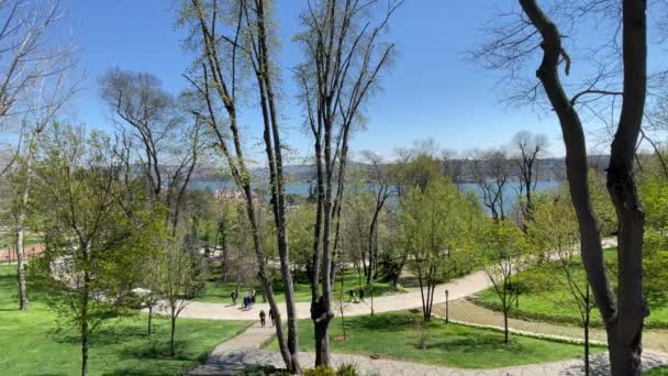 Εμιράτο Κωνσταντινούπολη Τουρκία Απριλίου 2022 Φεστιβάλ Τουλίπας Ιστανμπούλ Φεστιβάλ Πάρκα — Αρχείο Βίντεο