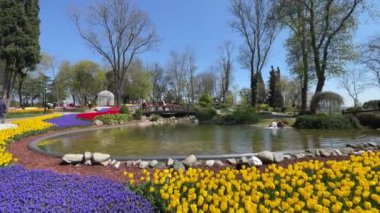 Emirgan, istanbul, Türkiye 20.2022 İstanbul Lale Festivali. İstanbul 'da lale sezonu temalı park ve bahçelerde festival düzenlendi. İstanbul 'daki Emirgan koruluğundan ve Nisan ayındaki lale festivali manzarası