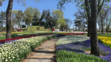 Emirgan, istanbul, Türkiye 20.2022 İstanbul Lale Festivali. İstanbul 'da lale sezonu temalı park ve bahçelerde festival düzenlendi. İstanbul 'daki Emirgan koruluğundan ve Nisan ayındaki lale festivali manzarası