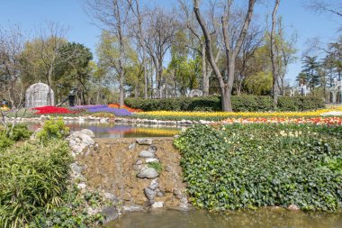 Emirgan, istanbul, Türkiye 20.2022 İstanbul Lale Festivali. İstanbul 'da lale sezonu temalı park ve bahçelerde festival düzenlendi. İstanbul 'daki Emirgan koruluğundan ve Nisan ayındaki lale festivali manzarası