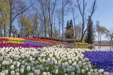 Emirgan, istanbul, Türkiye 20.2022 İstanbul Lale Festivali. İstanbul 'da lale sezonu temalı park ve bahçelerde festival düzenlendi. İstanbul 'daki Emirgan koruluğundan ve Nisan ayındaki lale festivali manzarası