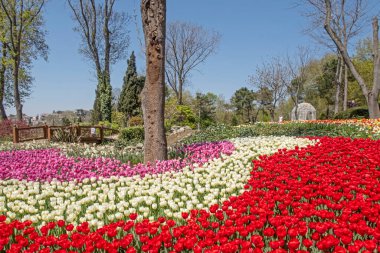 Emirgan, istanbul, Türkiye 20.2022 İstanbul Lale Festivali. İstanbul 'da lale sezonu temalı park ve bahçelerde festival düzenlendi. İstanbul 'daki Emirgan koruluğundan ve Nisan ayındaki lale festivali manzarası