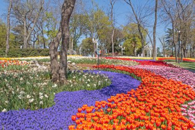 Emirgan, istanbul, Türkiye 20.2022 İstanbul Lale Festivali. İstanbul 'da lale sezonu temalı park ve bahçelerde festival düzenlendi. İstanbul 'daki Emirgan koruluğundan ve Nisan ayındaki lale festivali manzarası