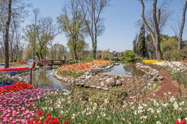 Emirgan, istanbul, Türkiye 20.2022 İstanbul Lale Festivali. İstanbul 'da lale sezonu temalı park ve bahçelerde festival düzenlendi. İstanbul 'daki Emirgan koruluğundan ve Nisan ayındaki lale festivali manzarası