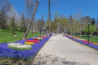 Emirgan, istanbul, Türkiye 20.2022 İstanbul Lale Festivali. İstanbul 'da lale sezonu temalı park ve bahçelerde festival düzenlendi. İstanbul 'daki Emirgan koruluğundan ve Nisan ayındaki lale festivali manzarası