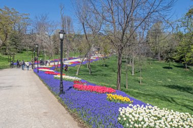 Emirgan, istanbul, Türkiye 20.2022 İstanbul Lale Festivali. İstanbul 'da lale sezonu temalı park ve bahçelerde festival düzenlendi. İstanbul 'daki Emirgan koruluğundan ve Nisan ayındaki lale festivali manzarası