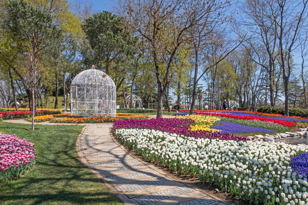 Стамбул, Стамбул, Турция.Апрель 2022 Стамбульский фестиваль тюльпанов. Фестиваль проводится в парках и рощах Стамбула на тему тюльпанового сезона. Вид на фестиваль тюльпанов из Курганской рощи в Стамбуле и в апреле