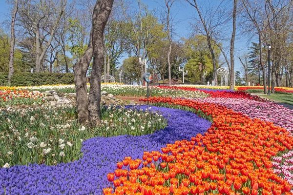 Emirgan Istanbul Türkei April 2022 Istanbul Tulpenfest Festival Das Parks — Stockfoto